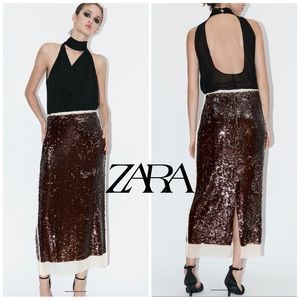 ZARA SEQUIN CHIFFON SKIRT ZW COLLECTION BLOGGERES FAVORITE
